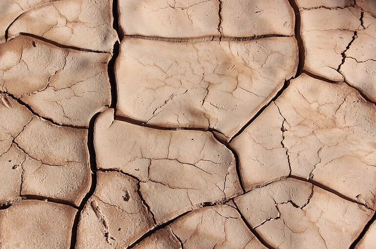 dried-soil